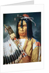 Native American Chief of the Cree people of Canada, 1848 by Paul Kane