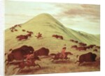 Sioux Indians hunting buffalo, 1835 by George Catlin