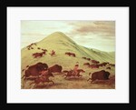 Sioux Indians hunting buffalo, 1835 by George Catlin