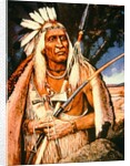 Iroquois Chief by Henry H. Cross
