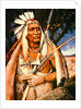 Iroquois Chief by Henry H. Cross