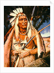 Iroquois Chief by Henry H. Cross