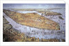Manhattan Island, 1884 by American School