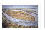 Manhattan Island, 1884 by American School