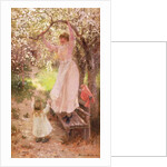 Falling Apple Blossoms by Hamilton Hamilton