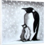 Father & Son by Paul Powis