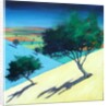 Hillside by Paul Powis