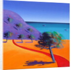 Red Path by Paul Powis