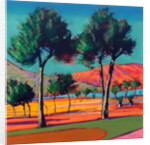 Son Vida by Paul Powis