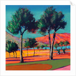 Son Vida by Paul Powis