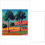 Son Vida by Paul Powis