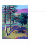 Sunny Afternoon by Paul Powis