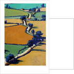 Country Lane Spring, 2016 by Paul Powis