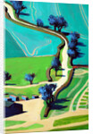 Country Lane Summer, 2016 by Paul Powis