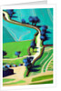 Country Lane Summer, 2016 by Paul Powis