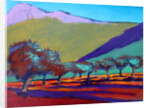 Olive Trees by Paul Powis