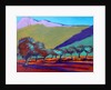 Olive Trees by Paul Powis