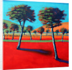 Son Vida I, 2014 by Paul Powis