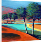 Son Vida II, 2006 by Paul Powis