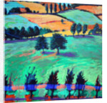 Martley, Worcestershire, 2010 by Paul Powis