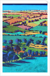 Teme Valley summer I by Paul Powis