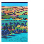 Teme Valley summer I by Paul Powis