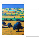 White Cross close up by Paul Powis