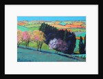 Teme Valley blossom by Paul Powis