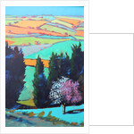 Teme Valley blossom close up by Paul Powis