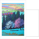 Teme Valley April close up 1 by Paul Powis