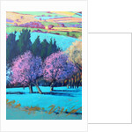 Teme Valley April close up by Paul Powis