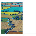 Lane in summer by Paul Powis