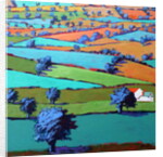 Near Sidmouth by Paul Powis