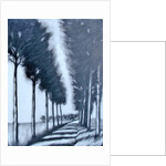 Avenue by Paul Powis