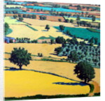 Chase end by Paul Powis