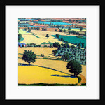 Chase end by Paul Powis