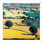 Chase end by Paul Powis