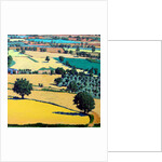 Chase end by Paul Powis