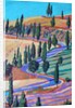 Tuscany, 2019 by Paul Powis