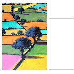 Burcome, 2019 by Paul Powis