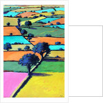 Burcome, 2019 by Paul Powis