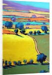 Cotswold Way close up 7, 2019 by Paul Powis