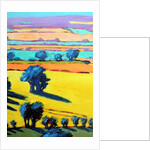 Cotswold Way close up 6, 2019 by Paul Powis