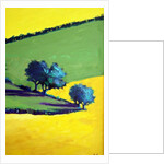 Whiteleaved oak close up 9, 2019 by Paul Powis