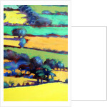 Whiteleaved oak close up 7, 2019 by Paul Powis