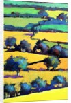 Whiteleaved oak close up 6, 2019 by Paul Powis