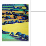 Whiteleaved oak close up 1, 2019 by Paul Powis