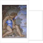 Polyphemus, 1512 by Sebastiano del Piombo
