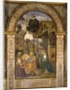 Adoration of the Child, c.1490 by Bernardino di Betto Pinturicchio