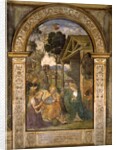 Adoration of the Child, c.1490 by Bernardino di Betto Pinturicchio